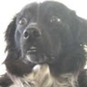 Meet your Posher, Carl